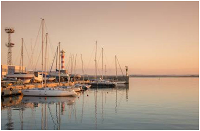 Interested in becoming a marine educationist? Learn more here. Interested in becoming a marine educationist? Learn more here.