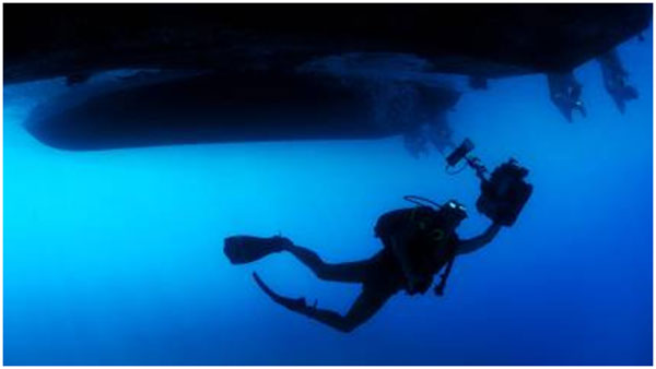 Underwater exploring or just treasure hunting? Find out how a career in diving can lead you in unexpected directions.