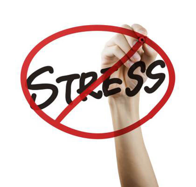 10 Things You Can Do to Decrease Your Stress at the Office 10 Things You Can Do to Decrease Your Stress at the Office