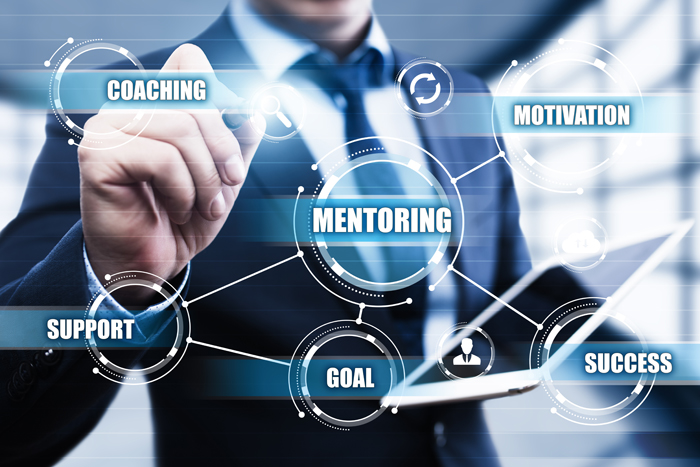 Mentoring and Coaching for Professionals