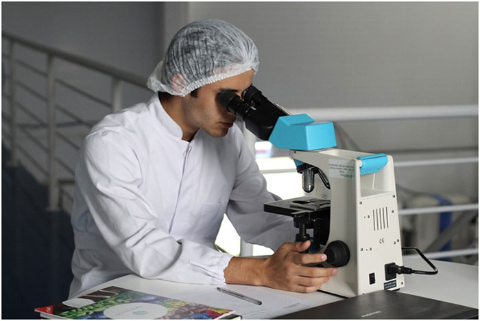 A quick look at the role of a medical scientist A quick look at the role of a medical scientist