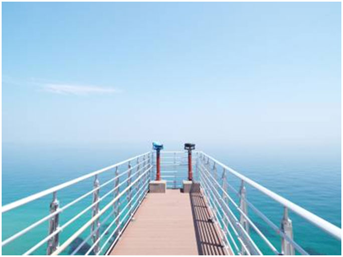 Know where to start for a career on the ocean? Find out the essentials here. Know where to start for a career on the ocean? Find out the essentials here.