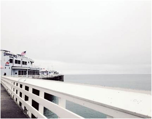To become a naval officer, know how to prepare. Read more here.
