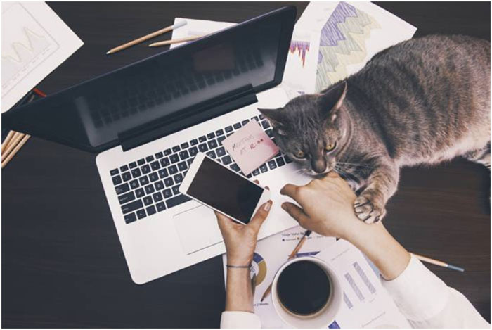 The Best (and Healthiest) Jobs in the World Might Be Remote Jobs The Best (and Healthiest) Jobs in the World Might Be Remote Jobs