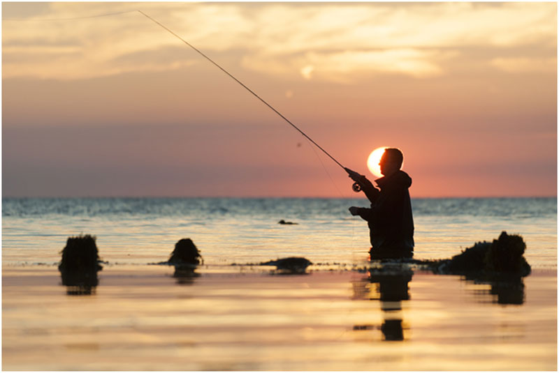 5 Tips To Help You To An Early Retirement 5 Tips To Help You To An Early Retirement